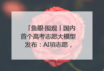 鱼眼·围观丨国内首个高考志愿大模型发布：AI填志愿，靠不靠谱？