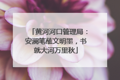 黄河河口管理局：安澜笔蘸文明墨，书就大河万里秋
