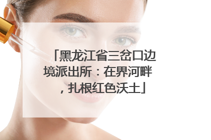 黑龙江省三岔口边境派出所：在界河畔，扎根红色沃土