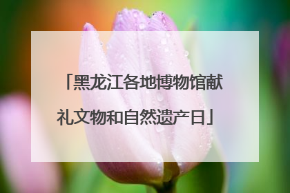 黑龙江各地博物馆献礼文物和自然遗产日