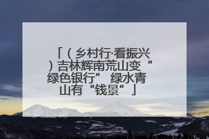 （乡村行·看振兴）吉林辉南荒山变“绿色银行” 绿水青山有“钱景”