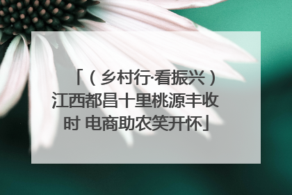 （乡村行·看振兴）江西都昌十里桃源丰收时 电商助农笑开怀