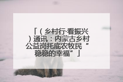 （乡村行·看振兴）通讯：内蒙古乡村公益岗托底农牧民“稳稳的幸福”