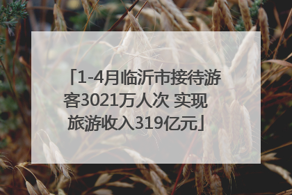 1-4月临沂市接待游客3021万人次 实现旅游收入319亿元