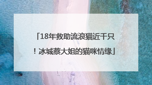 18年救助流浪猫近千只！冰城蔡大姐的猫咪情缘