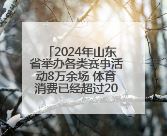 2024年山东省举办各类赛事活动8万余场 体育消费已经超过2000亿元