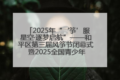 2025年“‘筝’服星空·逐梦启航”——和平区第三届风筝节闭幕式 暨2025全国青少年风筝制作放飞赛（沈阳站）颁奖仪式