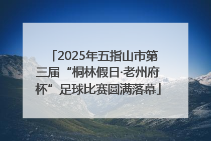 2025年五指山市第三届“桐林假日·老州府杯”足球比赛圆满落幕