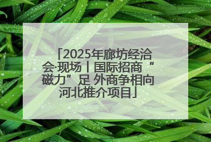 2025年廊坊经洽会·现场丨国际招商“磁力”足 外商争相向河北推介项目