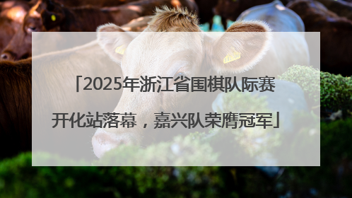 2025年浙江省围棋队际赛开化站落幕，嘉兴队荣膺冠军