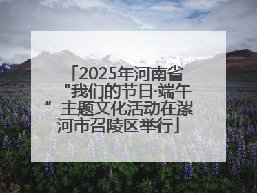 2025年河南省“我们的节日·端午”主题文化活动在漯河市召陵区举行
