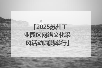 2025苏州工业园区网络文化采风活动圆满举行