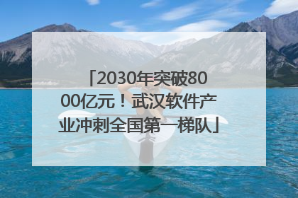 2030年突破8000亿元！武汉软件产业冲刺全国第一梯队