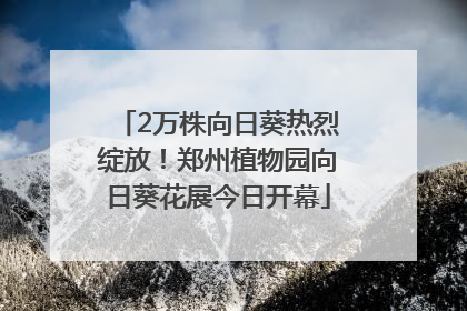 2万株向日葵热烈绽放！郑州植物园向日葵花展今日开幕