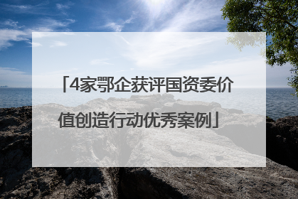 4家鄂企获评国资委价值创造行动优秀案例