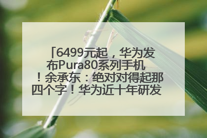 6499元起，华为发布Pura80系列手机！余承东：绝对对得起那四个字！华为近十年研发投入12490亿元