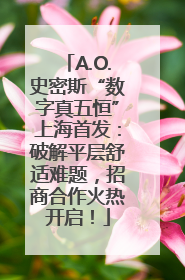 A.O.史密斯“数字真五恒”上海首发：破解平层舒适难题，招商合作火热开启！