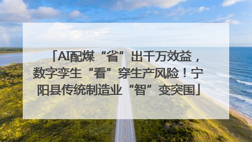 AI配煤“省”出千万效益，数字孪生“看”穿生产风险！宁阳县传统制造业“智”变突围