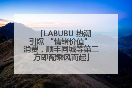 LABUBU 热潮引爆 “情绪价值” 消费，顺丰同城等第三方即配乘风而起