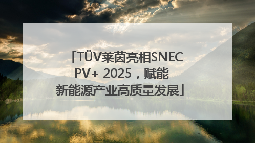 TÜV莱茵亮相SNEC PV+ 2025，赋能新能源产业高质量发展