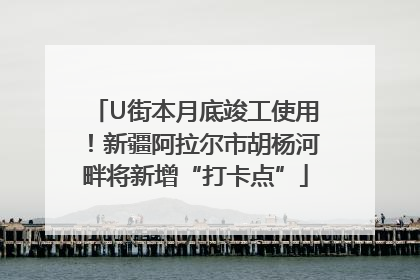 U街本月底竣工使用！新疆阿拉尔市胡杨河畔将新增“打卡点”